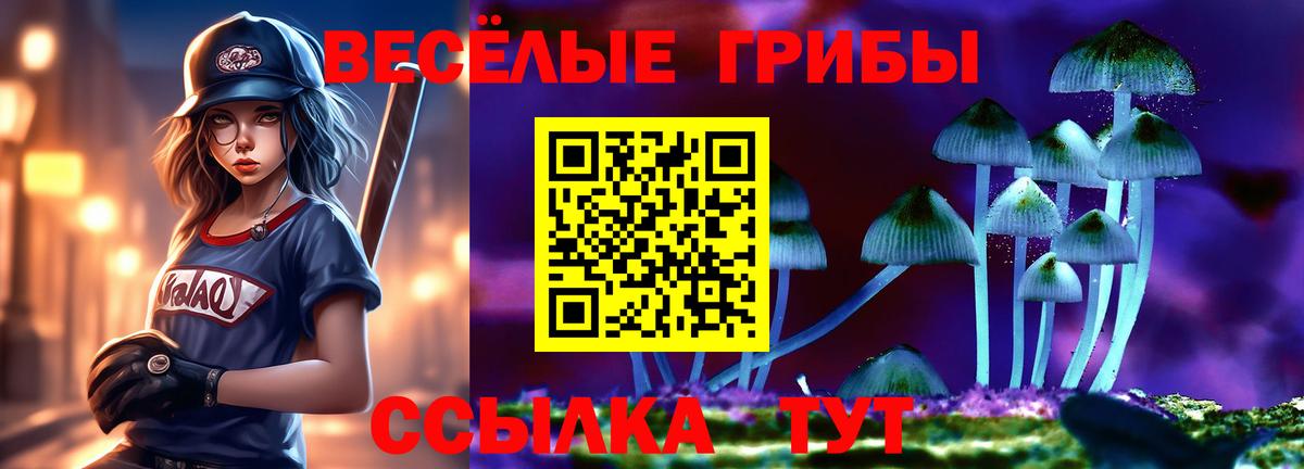 Галлюциногенные грибы мицелий  Вход с VPN  Благовещенск 