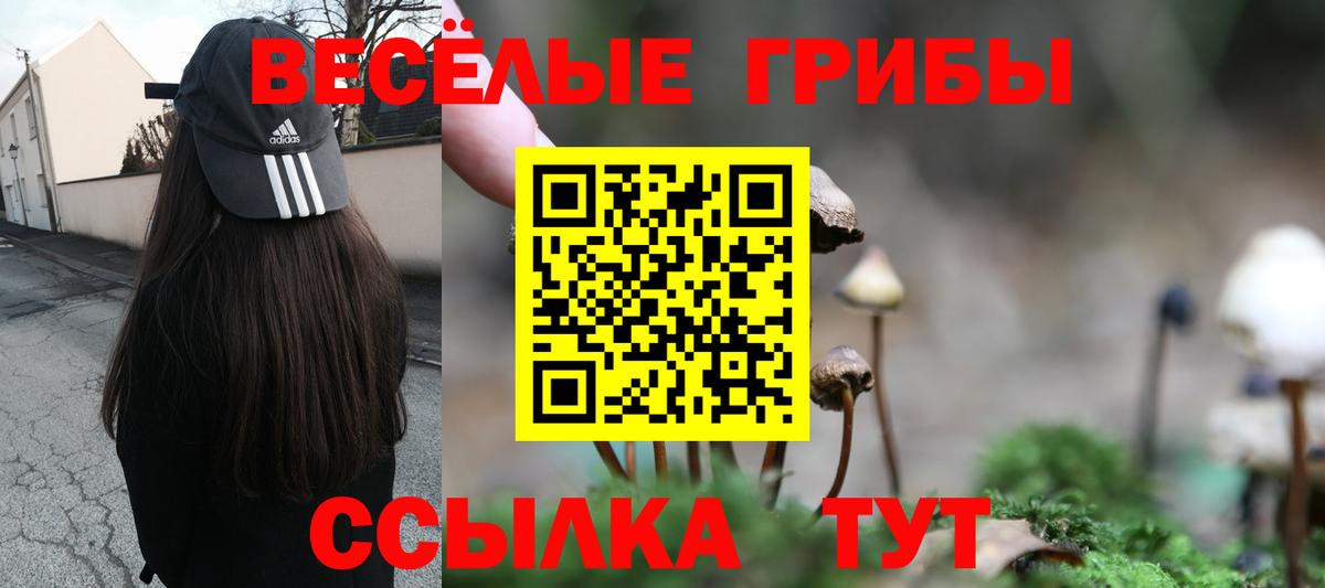 Галлюциногенные грибы MAGIC MUSHROOMS Благовещенск